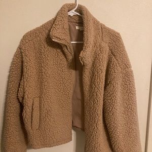 Teddy Bear jacket  🧸 size M/L